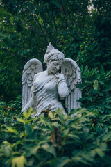 Obraz premium Green leaves and angel sculpture with wings.