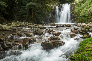 Fototapeta premium 中園川の流れと坂口の滝