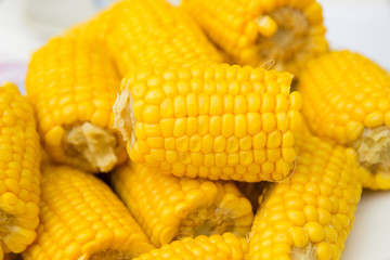 Pieces of boiled corn on a white plate.