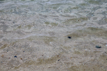 Soft wave on the clear beach in Thailand. Abstract of relax place and holiday.