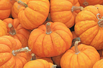 Decorative orange pumpkins