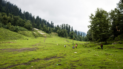 Fototapeta na wymiar Solang Valley, Manali, Himachal Pradesh