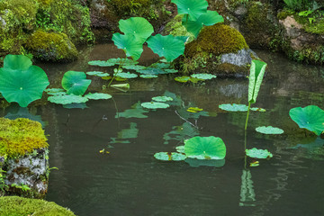  Refreshing Mie Prefecture, Japan
