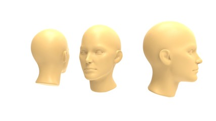 3d rendering of a human model isolated in white background