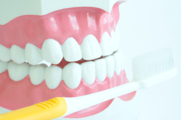 hands of a dentist, he is demonstrating how to brush your teeth properly. To clean the teeth and oral cavity.