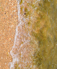 Coastal sea waves. Seawater with seaweed. Coastal algae. Sea beach.