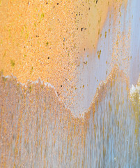 Coastal sea waves. Seawater with seaweed. Coastal algae. Sea beach.