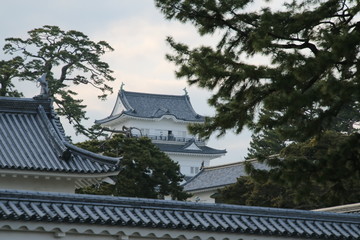 春先の復元した小田原城