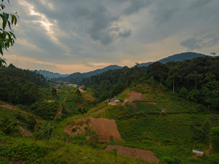 Bwindi Impenetrable Forest National Park, Uganda