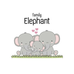 Elephant Family Father Mother and baby. 