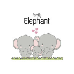 Elephant Family Father Mother and baby. 