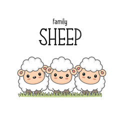 Happy sheep family. Mom dad and baby sheep cartoon on the grass.