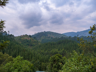 Bwindi Impenetrable Forest National Park, Uganda