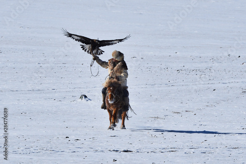 Golden Eagle In Western Mongolia Flying And Training To