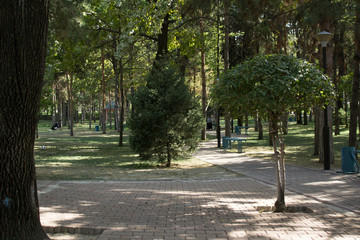 alley in park