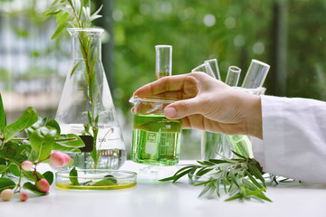 Scientist with natural drug research, Natural organic and scientific extraction in glassware,...