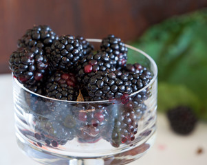 blackberry in closeup