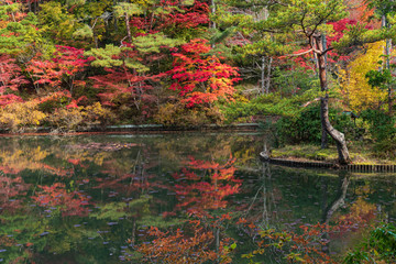 Refreshing in Hyogo Prefecture, Japan