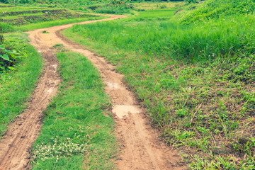 Fototapeta na wymiar Pathway winding gravel road with green meadow and wheel marks on rode meaning the pathway to success concept.