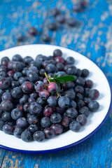 fresh blueberries in a metallic bowl