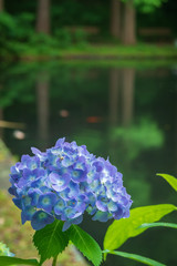 Refreshing in Hyogo Prefecture, Japan