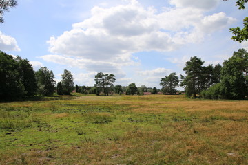Bl&uuml;hende Heidelandschaft unter tollen Wolken