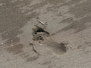 砂浜についた足跡