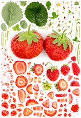 Strawberry Collection Abstract