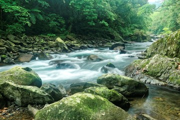 Naklejka na ściany i meble Scenic view of a cool refreshing stream cascading in a mysterious ravine of lush forest with sunlight shining through lavish greenery in summer ~ Beautiful river scenery of Taiwan