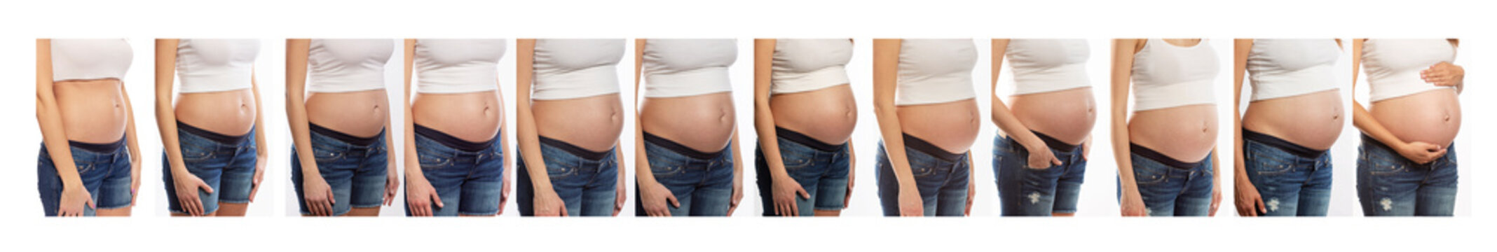 Growth of the abdomen of a pregnant woman, closeup. Set of photos of different terms. Collage. Isolated over white background. Panorama.