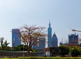 Obraz premium A street corner in Xinyi District in Downtown Taipei, the vibrant capital city of Taiwan, with a blossoming sidewalk tree and landmark Towers among modern buildings in background on a sunny morning