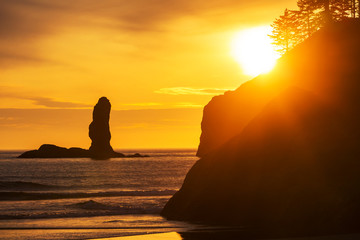 Olympic coast