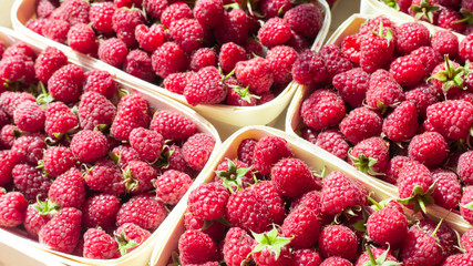 A lot of fresh raspberries in containers. Useful food