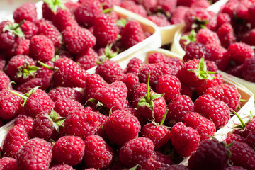 A lot of fresh raspberries in containers. Useful food