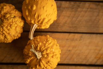 Diverse assortment of pumpkins on a wooden background. Autumn harvest...