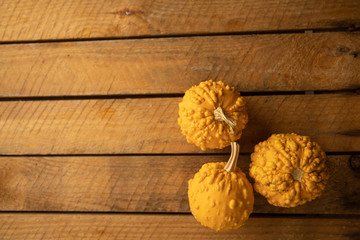 Diverse assortment of pumpkins on a wooden background. Autumn harvest...