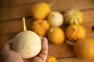 Diverse assortment of pumpkins on a wooden background. Autumn harvest...