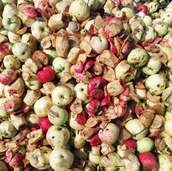 background from filled with apples in various states of decay, many rotting apples