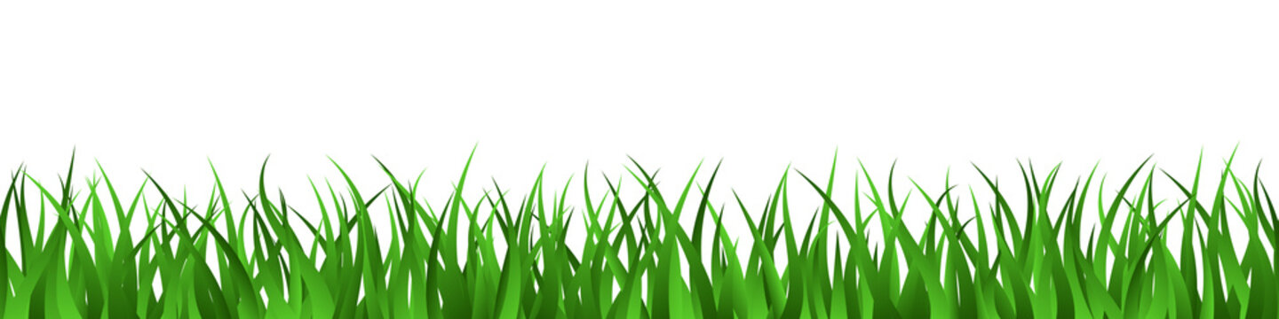Grass Cartoon Images – Browse 310,458 Stock Photos, Vectors, and Video |  Adobe Stock