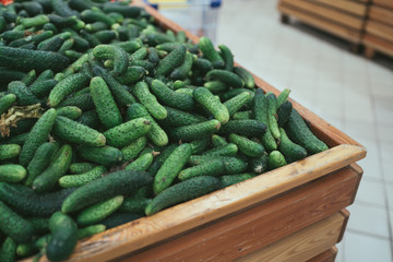Cucumbers in wooden box. Fresh green cucumbers in wooden box with straw