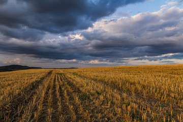 Mowed field with hill and dramatic sky, Czech republic