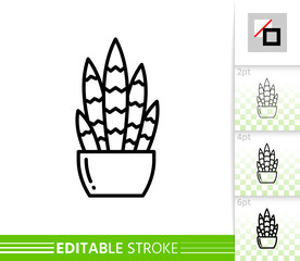 Cactus aloe succulent simple thin line vector icon