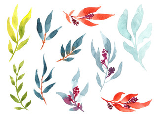 Colorful watercolor leaves clipart set