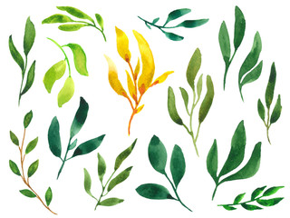 Clipart collection of watercolor leaves
