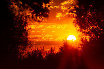 autumn sunrise among the silhouettes of trees