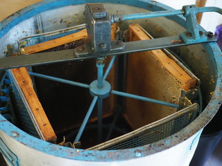Honey extractor with honeycomb wax with honey frame