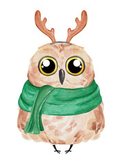 Cute owl in winter scarf. Watercolor owl set