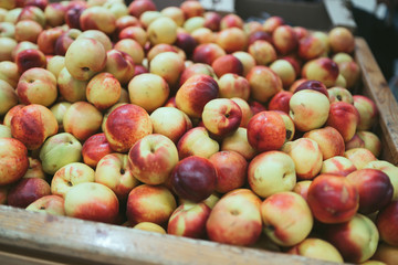 peach in wooden box. Fresh peach in wooden box