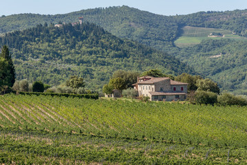 Fototapeta na wymiar Typical landscape of Chianti classico in the municipality of Greve, Tuscany, Italy