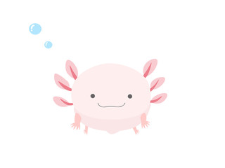 みつめるウーパールーパー